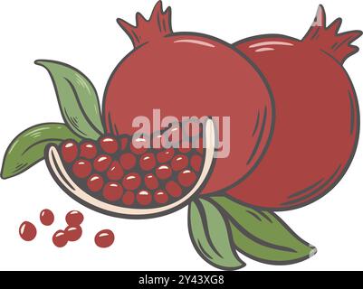 Composizione dei frutti di melograno maturi e parte con semi e foglie. Frutta matura, succosa e colorata, isolata su sfondo bianco. Mangiare sano, ecologico Illustrazione Vettoriale