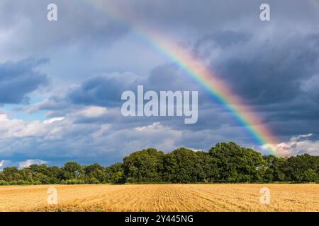 Arcobaleno e nuvole scure su un campo di mais tagliato nella campagna inglese vicino a Hickling, Norwich, Norfolk, East Anglia, Inghilterra, Regno Unito, Gran Bretagna Foto Stock