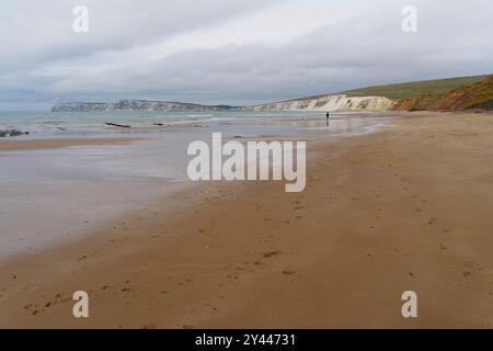 Impronte sulle sabbie bagnate di Compton Bay in una mattinata d'estate ricoperta. Foto Stock