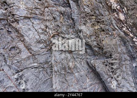 Superficie di un pezzo di roccia grigio-argento trovato sulla spiaggia di Hemmick, Cornovaglia. Foto Stock