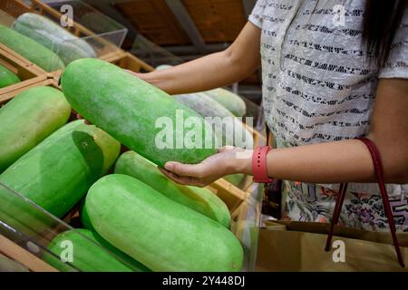 Mano corta di donna che tiene il melone invernale al mercato Foto Stock