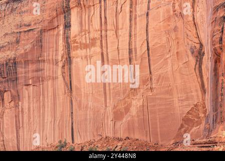 La scogliera di arenaria mostra striature uniche nella Monument Valley. Foto Stock