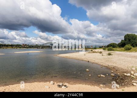 Il livello del Reno il 13 settembre 2024 a 247 cm, sponde del fiume Reno a Colonia-poll, vista sul Ponte Sud, sullo sfondo il porto di Rheinau Foto Stock