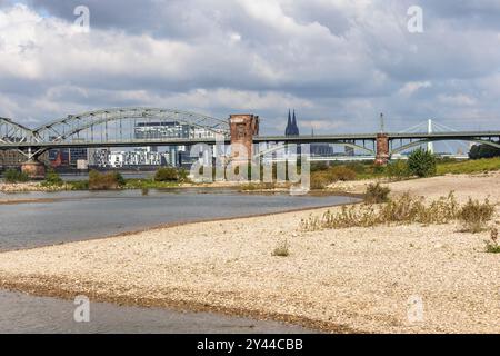 Il livello del Reno il 13 settembre 2024 a 247 cm, sponde del fiume Reno a Colonia-poll, vista sul Ponte Sud, sullo sfondo il porto di Rheinau Foto Stock