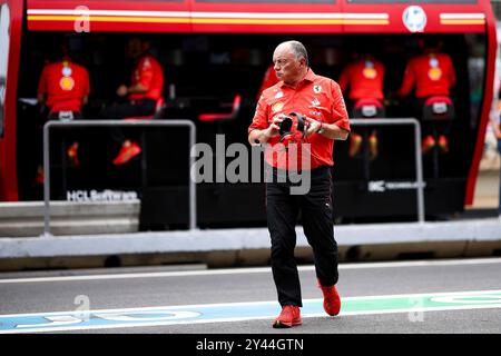 Baku, Azerbaigian. 14 settembre 2024. Frederic Vasseur (fra, Scuderia Ferrari HP), Gran Premio di F1 dell'Azerbaigian sul circuito cittadino di Baku il 14 settembre 2024 a Baku, Azerbaigian. (Foto di HOCH ZWEI) credito: dpa/Alamy Live News Foto Stock