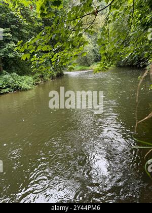 DATA DI REGISTRAZIONE NON INDICATA Ostsachsen - Amtliche UNWETTERWARNUNG vor ERGIEBIGEM DAUERREGEN 13.09.2024 Bautzen, Spree Fotograf: LausitzNews.de Unwetterwarnung für den Bereich Ostsachsen: Es tritt ergiebiger Dauerregen wechselnder Intensität auf. Dabei werden Niederschlagsmengen zwischen 50 l/m und 70 l/m erwartet. Gefahr für Leib und Leben durch Überflutungen von Straßen/Unterführungen sowie gewässernahen Gebäuden mögliche Erdrutsche. Handlungsempfehlungen: überflutete und gefährdete Abschnitte meiden Verhalten im Straßenverkehr anpassen, Behinderungen auf Verkehrswegen einplanen gggf. Vorbeugend ho Foto Stock