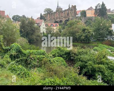 DATA DI REGISTRAZIONE NON INDICATA Ostsachsen - Amtliche UNWETTERWARNUNG vor ERGIEBIGEM DAUERREGEN 13.09.2024 Bautzen, Spree Fotograf: LausitzNews.de Unwetterwarnung für den Bereich Ostsachsen: Es tritt ergiebiger Dauerregen wechselnder Intensität auf. Dabei werden Niederschlagsmengen zwischen 50 l/m und 70 l/m erwartet. Gefahr für Leib und Leben durch Überflutungen von Straßen/Unterführungen sowie gewässernahen Gebäuden mögliche Erdrutsche. Handlungsempfehlungen: überflutete und gefährdete Abschnitte meiden Verhalten im Straßenverkehr anpassen, Behinderungen auf Verkehrswegen einplanen gggf. Vorbeugend ho Foto Stock