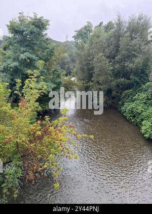 DATA DI REGISTRAZIONE NON INDICATA Ostsachsen - Amtliche UNWETTERWARNUNG vor ERGIEBIGEM DAUERREGEN 13.09.2024 Bautzen, Spree Fotograf: LausitzNews.de Unwetterwarnung für den Bereich Ostsachsen: Es tritt ergiebiger Dauerregen wechselnder Intensität auf. Dabei werden Niederschlagsmengen zwischen 50 l/m und 70 l/m erwartet. Gefahr für Leib und Leben durch Überflutungen von Straßen/Unterführungen sowie gewässernahen Gebäuden mögliche Erdrutsche. Handlungsempfehlungen: überflutete und gefährdete Abschnitte meiden Verhalten im Straßenverkehr anpassen, Behinderungen auf Verkehrswegen einplanen gggf. Vorbeugend ho Foto Stock