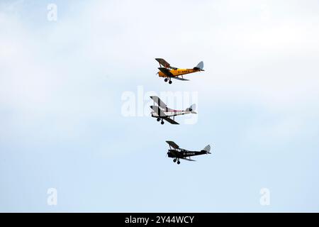 De Havilland DH.82A Tiger Moth G-ANKK E G-AHAN, De Havilland DH.60 Gipsy Moth - G-ACGZ, Foto Stock