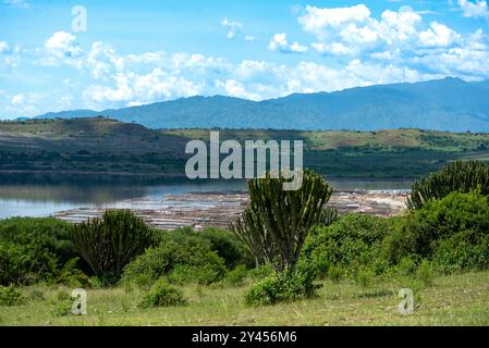 Lago Katwe nel Queen Elizabeth Ntional Park Uganda. Da tempo imemoriale, la gente del posto ha scavato il sale nel lago cratere. Da considerare Foto Stock