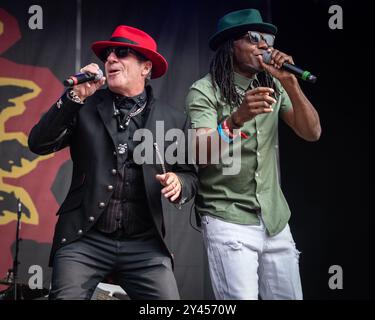 Dub Pistols al Beautiful Days Festival 2024 Foto Stock