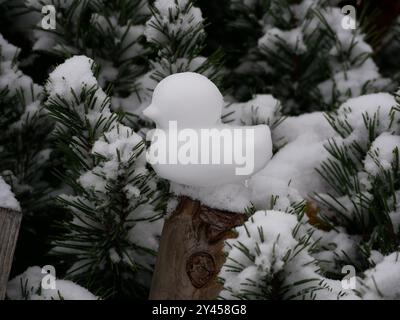 Anatroccolo fatto di neve sullo sfondo di rami di abete. Duck pupazzo di neve. Divertimento e intrattenimento per bambini durante le vacanze invernali. Nevoso e ghiacciato Foto Stock