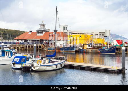 Barche da pesca e yacht privati nel porto di Rothesay, Isola di Bute, Scozia, Regno Unito Foto Stock