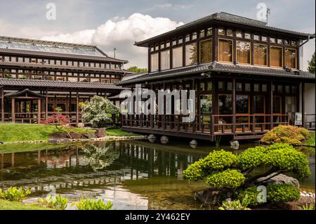 Bad Langensalza Der Japanische Garten in Bad Langensalza: Bad Langensalza Thüringen Deutschland *** Bad Langensalza The Japanese Garden in Bad Langensalza Bad Langensalza Turingia Germania Foto Stock