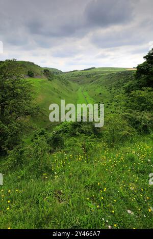 Vista estiva attraverso Cressbrook Dale, vicino al villaggio di Tideswell, Derbyshire, Peak District National Park, Inghilterra, Regno Unito Foto Stock