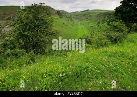 Vista estiva attraverso Cressbrook Dale, vicino al villaggio di Tideswell, Derbyshire, Peak District National Park, Inghilterra, Regno Unito Foto Stock