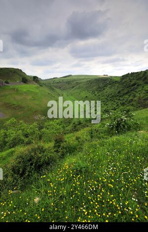 Vista estiva attraverso Cressbrook Dale, vicino al villaggio di Tideswell, Derbyshire, Peak District National Park, Inghilterra, Regno Unito Foto Stock