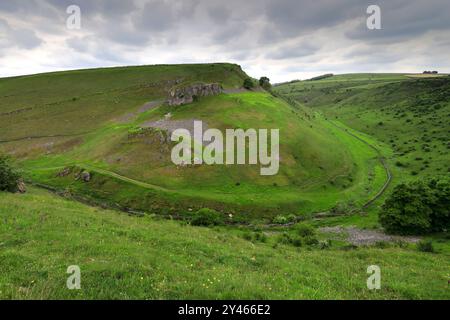 Vista estiva attraverso Cressbrook Dale, vicino al villaggio di Tideswell, Derbyshire, Peak District National Park, Inghilterra, Regno Unito Foto Stock