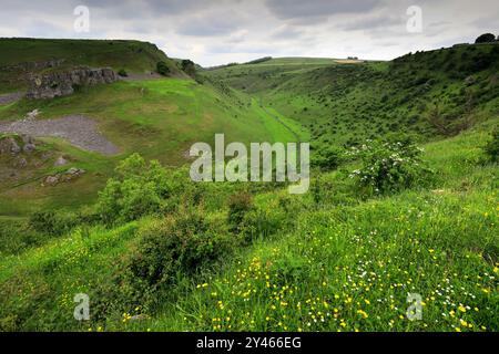 Vista estiva attraverso Cressbrook Dale, vicino al villaggio di Tideswell, Derbyshire, Peak District National Park, Inghilterra, Regno Unito Foto Stock