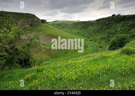 Vista estiva attraverso Cressbrook Dale, vicino al villaggio di Tideswell, Derbyshire, Peak District National Park, Inghilterra, Regno Unito Foto Stock