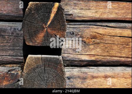 Questa immagine raffigura un primo piano delle estremità di due tronchi di legno, mostrando l'intricata trama della venatura del legno e le ricche e naturali variazioni di colore c Foto Stock