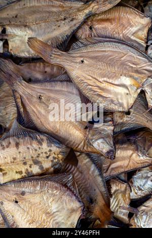 Il pesce essiccato è stato ordinato per la vendita in un vivace mercato in una città costiera asiatica durante il giorno Foto Stock