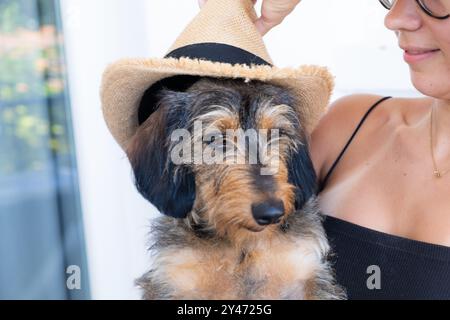 Una giovane donna anonima sorride mentre mette un cappello di paglia sulla testa di un cucciolo di dachshund. Persone vere e luce naturale Foto Stock