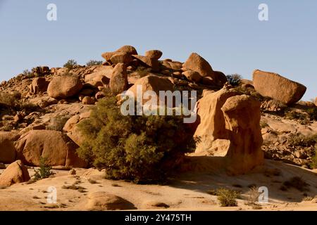 Tafraoute sorge a nord-ovest della valle di Ameln, punteggiata di rocce di granito rosa, nella catena di quarzo del Djebel el Kest. Marocco, Nord Africa Foto Stock