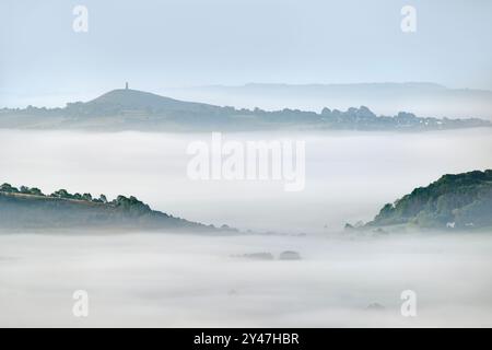 Forte nebbia all'alba del mattino presto sui livelli del Somerset, dalle colline di Mendip, Somerset, Regno Unito, con alberi appena iniziato a sfondare e Glastonbury a. Foto Stock