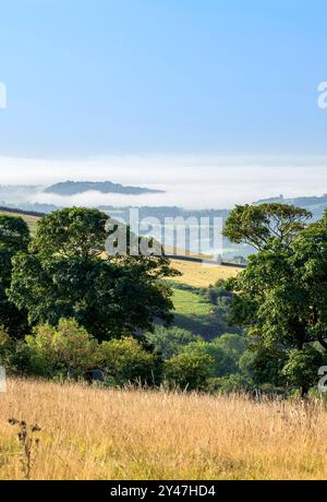 Scena rurale sui livelli del Somerset, presa la mattina presto in estate dalle colline Mendip, Somerset, Regno Unito, con colline illuminate dal sole in primo piano e nebbia Foto Stock