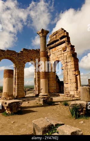 Volubilis, sito archeologico, romano, monte Zerhoun, città imperiale, Meknès, sito archeologico, Marocco, patrimonio dell'umanità, UNESCO Foto Stock