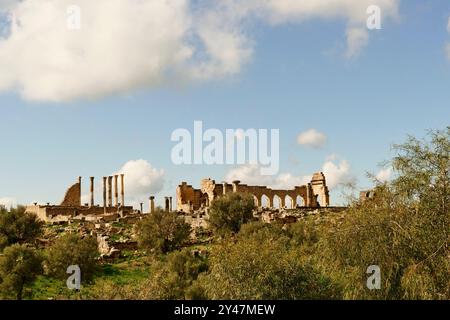 La città Santa di Moulay Driss Zerhoun, Meknes. Marocco, Nord Africa Foto Stock
