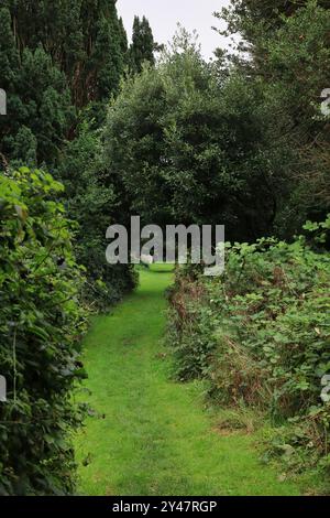 Gosport, Hampshire, Inghilterra. 9 settembre 2024. Uno stretto sentiero erboso che conduce ad un arco naturale fatto di alberi e con lapidi in lontananza. Questa foto fa parte di una serie che ho scattato in un recente tour guidato del Cimitero di Anns Hill durante gli Open Days del Gosport Heritage. L'evento si svolse sul lato vecchio del cimitero (il vecchio e il nuovo essendo separati da Anns Hill Road) e fu chiamato "Funery and Flora". Foto Stock