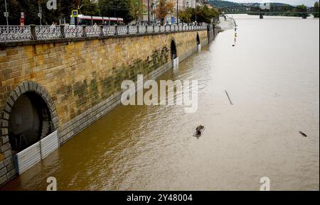 Praga, Repubblica Ceca. 16 settembre 2024. Una sezione di argine del fiume Moldava è inondata a Praga, nella Repubblica Ceca, il 16 settembre 2024. Almeno tre persone erano morte e altre sette sono scomparse a causa delle inondazioni causate dalle piogge estreme nella Repubblica ceca, ha detto la polizia lunedì. Crediti: Dana Kesnerova/Xinhua/Alamy Live News Foto Stock