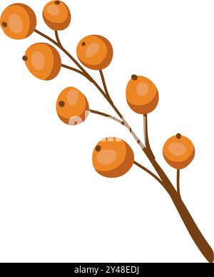 Branche con bacche d'arancia e foglie di forme diverse. Serie di illustrazioni autunnali vettoriali per il festival del raccolto per poster, striscioni, cartoline Illustrazione Vettoriale