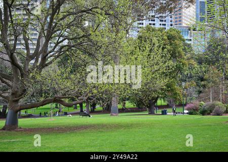 I Treasury Gardens sul lato sud-orientale del CBD di Melbourne con parco verde e alberi e piante ornamentali, Victoria, Australia. Foto Stock