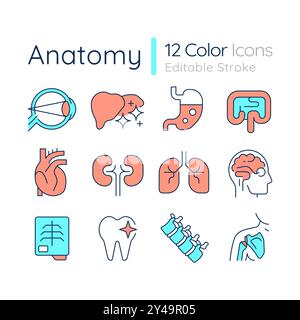 Set di icone di colore RGB anatomia Illustrazione Vettoriale