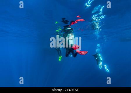 Colorato piccolo gruppo di subacquei in attesa di tornare alla barca, l'immagine è stata scattata da appena sotto la superficie. I subacquei non sono riconoscibili Foto Stock