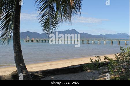 Molo con la spiaggia, l'oceano e una palma a Cardwell nel North Queensland, Australia Foto Stock