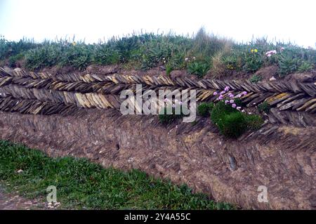 Tradizionale muro di pietra secca a spina di pesce di ardesia cornica fatta a mano "Curzyway" vicino a Constantine Bay sul South West Coastal Path, Cornovaglia, Inghilterra, Regno Unito. Foto Stock