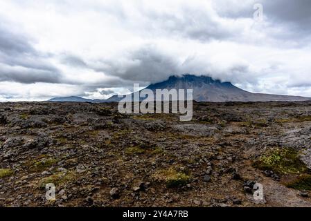 Vedute del Monte Herdubreid sulla strada F88 che conduce al vulcano Askja con la capanna della guardia del parco e le cascate sul fiume Jokulsa a Fjollum ne Foto Stock