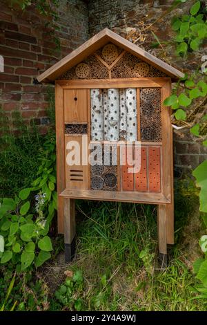 Ornato, insetto, hotel, api, vespe, coleotteri, Foto Stock