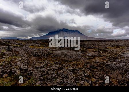 Vedute del Monte Herdubreid sulla strada F88 che conduce al vulcano Askja con la capanna della guardia del parco e le cascate sul fiume Jokulsa a Fjollum ne Foto Stock