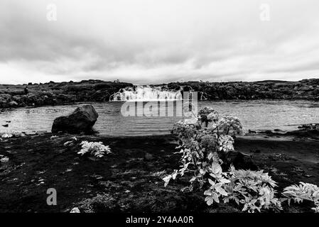 Vedute del Monte Herdubreid sulla strada F88 che conduce al vulcano Askja con la capanna della guardia del parco e le cascate sul fiume Jokulsa a Fjollum ne Foto Stock