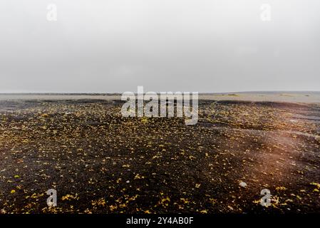 Distese di roccia lavica dai colori nero e rosso intenso nel cratere di vulcan Askja nel parco nazionale Vatnajokull in islanda Foto Stock