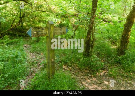 Un cartello in legno sulla strada di ponte sulla sponda occidentale del fiume Barle a Westwater Copse, Exmoor National Park, Somerset, Inghilterra. Foto Stock