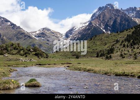 Paesaggio montano con un flusso che scorre e picchi innevati Foto Stock