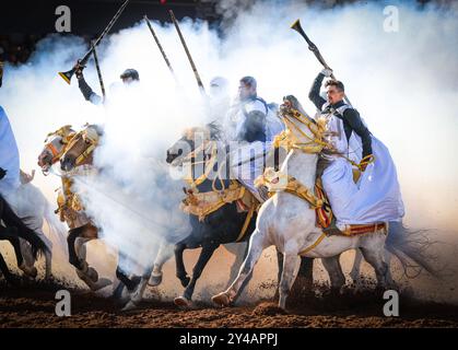 Nel cuore del Marocco, Fantasia brilla per i suoi colori vivaci e il suo potente display. Maestosi cavalli e cavalieri valorosi, avvolti da abiti vivaci, Foto Stock