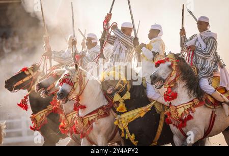 Nel cuore del Marocco, Fantasia brilla per i suoi colori vivaci e il suo potente display. Maestosi cavalli e cavalieri valorosi, avvolti da abiti vivaci, Foto Stock
