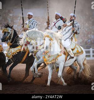 Nel cuore del Marocco, Fantasia brilla per i suoi colori vivaci e il suo potente display. Maestosi cavalli e cavalieri valorosi, avvolti da abiti vivaci, Foto Stock